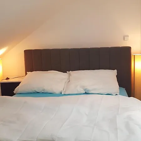 Apartament Tonny Jáchymov
