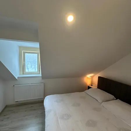 Apartament Tonny Jáchymov