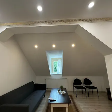 Tonny Apartament *