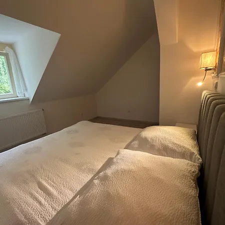 Tonny Apartament