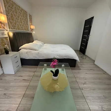 Tonny Apartament *