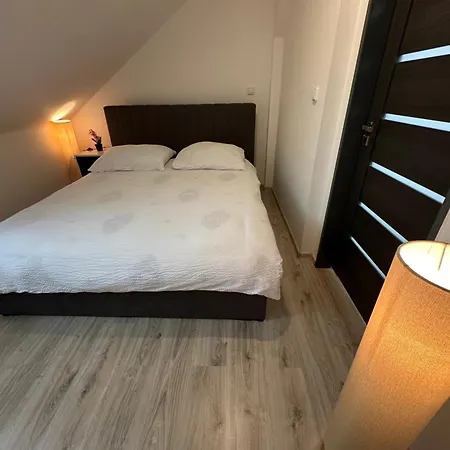 Tonny Apartament *